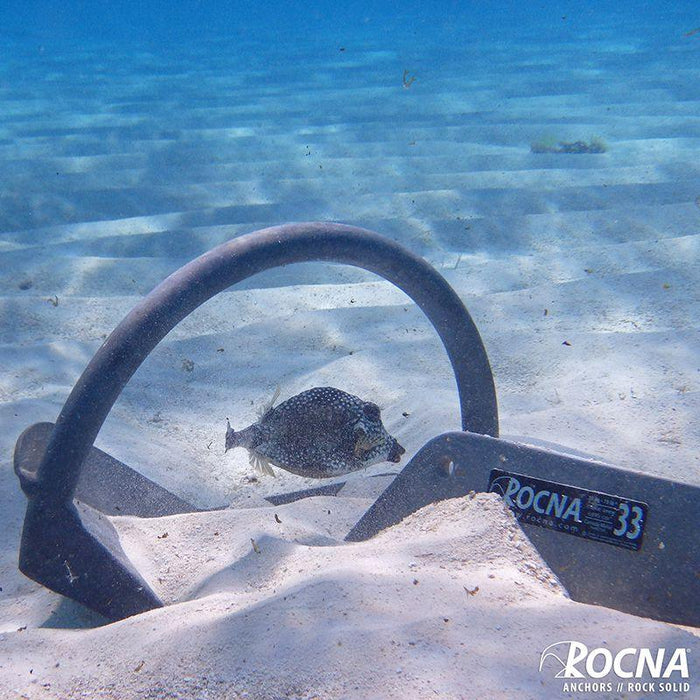 rocna anchor in the sand